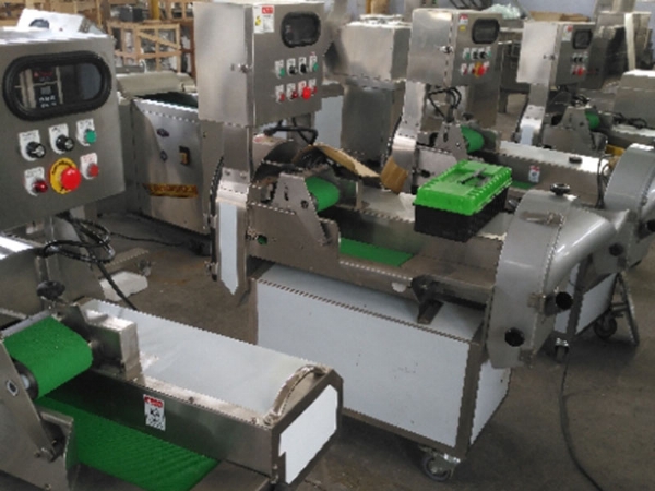 ZW-801多功能切菜機(jī)（雙頭）